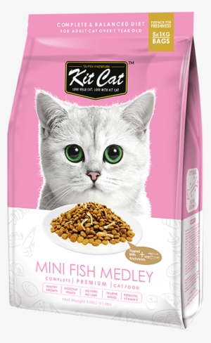 Kit Cat Dry Food Review #3432927