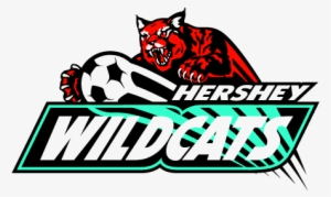 Free Download Of Wildcats Vector Logo - Arizona Wildcats #3436266