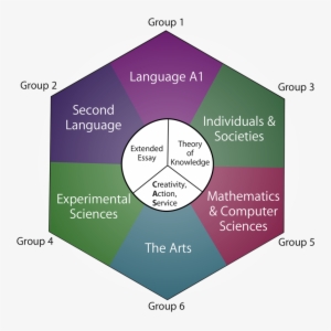 International Baccalaureate Areas Of Study #3437559