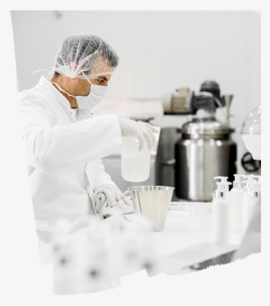 Research - Rebujito #3438116