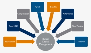 Info Graphic Image Shows Applications Of Workday Hcm - Functions Of Industrial Relations #3439534