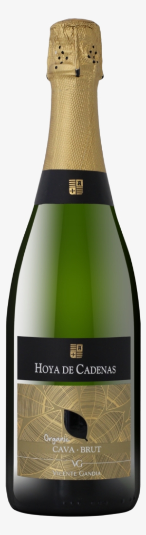 Hoya De Cadenas Cava #3443765