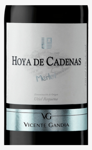 Bodegas Vicente Gandia #3443839