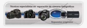 Servicio Técnico Reparación De Cámaras Fotográficas - Sony Slta77vq Slt-a77 A77 24.3mp Digital Slr Camera #3444873