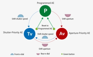 Generally Speaking, Digital Slr Cameras Provide An - Diagram #3445102