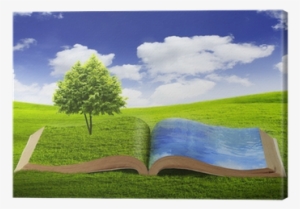 Creciendo Con Valores (growing With Values) #3446872