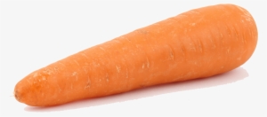 La Zanahoria Es Un Alimento Excelente Desde El Punto - Carrot #3446992