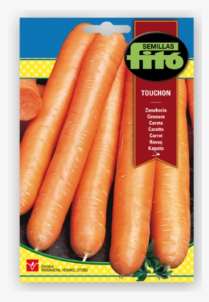 Carrot Touchon - Semillas Fitó Carrot Nantesa 5 - Nares #3447560
