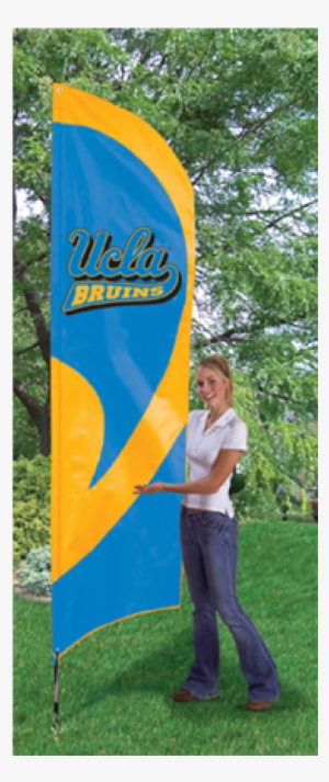 Ucla Bruins Ncaa Applique & Embroidered 102" X 30" - Iowa State Tall Feather Flag #3447905