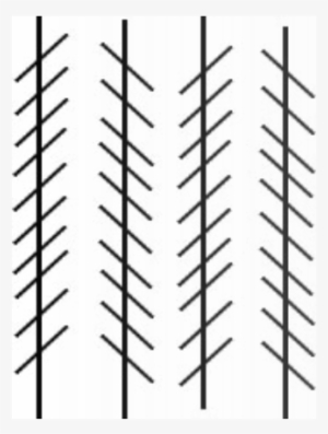 Are These Lines Parallel Or Not - Zöllner Illusion #3447930