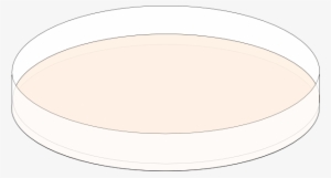 Circle #3448095 Circle #3448095