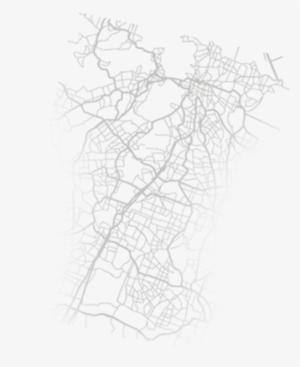 Para Buscar Cocodrilos Se Debe Ver El Reflejo De Sus - Drawing #3448354