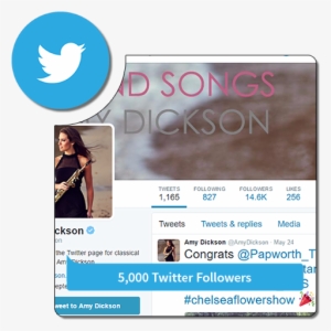 5k Followers - Twitter - Twitter Followers #3448912