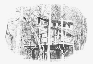 The Blue Ridge Treehouse Is Located At Bear Claw Vineyards - Blue Ridge Treehouse #3449114