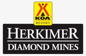 Welcome To The Tree House Lodge A Fun, New And Exciting - Benjamin Disraeli Sybil Or The Two Nations #3449194