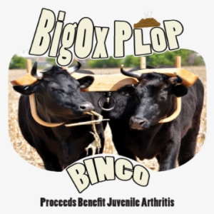 Water Buffalo #3450682