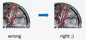 10 367 Kb - Funny Lizard #3451611
