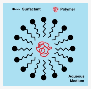 Surfactant Around A Polymer Chain In A Latex Paint - Anionic Surfactants #3452817