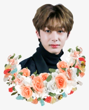 Monsta X Diy - Hybrid Tea Rose #3455082