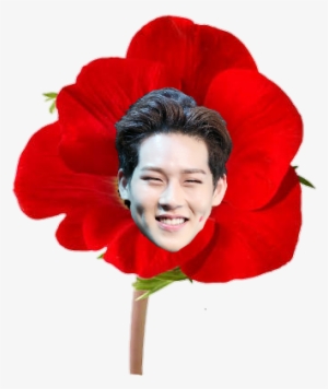 Flowers And Monsta X Icons - Clip Art Poppy Flower #3455336