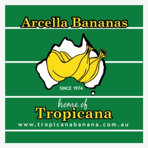 Arcella Tropicana - Square, Inc. #3456223