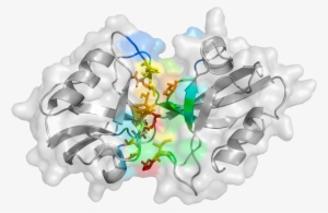 A Cartoon Representation Unveiled By The Study Shows - Illustration #3456395