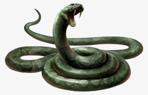 Snake Form - Snake Png #3457312