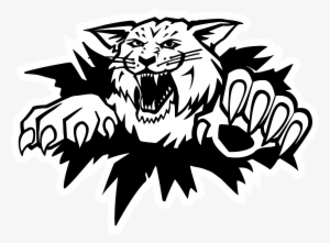 Moncton Wildcats Logo Black And White - Moncton Wildcats Logo #3457482