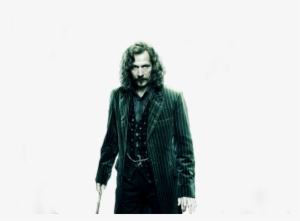 Clipart Resolution 1024*768 - Sirius Black Transparent #3457567