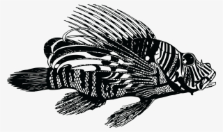 Lionfish Png #3458017
