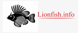 Lionfish Information - Lionfish #3458077