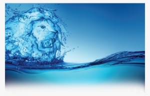 Lionfish - Sea #3458437