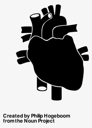 Open - Vintage Anatomical Heart Stainless Steel 6 Oz Flask #3458697