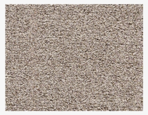 Carpet #3460059