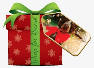 Wrapping For Rescue #3460102