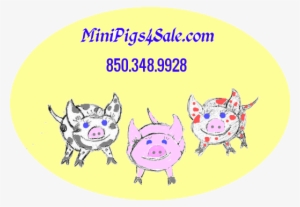New Logo - Miniature Pig #3462789