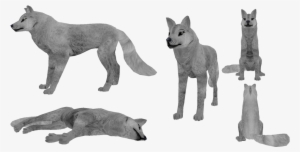 Free Feral Heart Fur Texture By Missdiealot - Feral Heart Rare Fur Texture #3463816