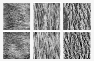 Synthesis Results On Natural " Random " Textures - Science #3463870