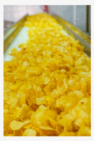 Lorenzo Y Julia Ya Aportaban Experiencia En La Fabricación - Saffron Rice #3465333