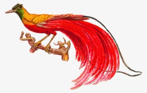 This Is An Incredible Victorian Scrap Of A Bird Of - Png Bird Of Paradise Bird #3465998