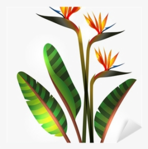 Bird Of Paradise Flower And Stem Sticker • Pixers® - Bird Of Paradise Flower #3466459
