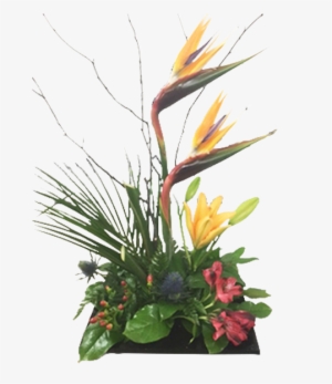 Birds In Paradise - Bouquet #3466616