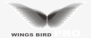 Wings Bird Pro - Food #3467158