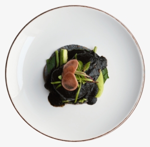 Main Course - Mussel #3468263