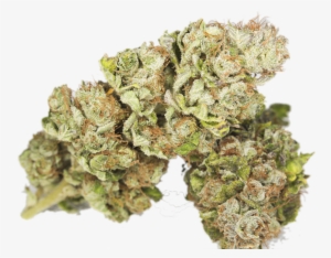 Joint Bruce-banner3 - Bruce Banner Og #3469305