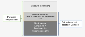 Goodwill Allocation - Parent #3470649