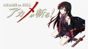 Akame Ga Kill Image - Akame Ga Kill T Shirt #3473467