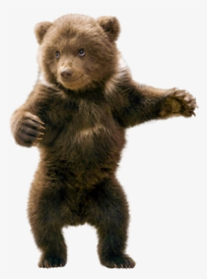 Ftestickers Sticker - New Born Baby Bear #3477051