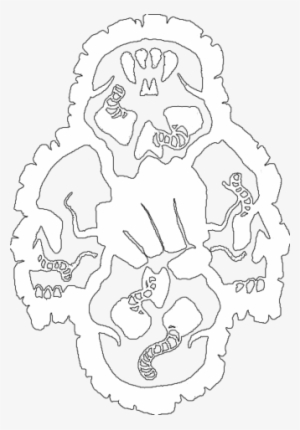 File - Nosferatu - Line Art #3479016