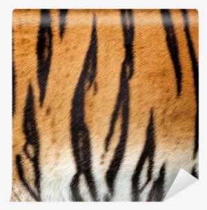 Real Live Tiger Fur Stripe Pattern Background Wall - Zazzle Tiger Fur Large Tote Bag #3480458